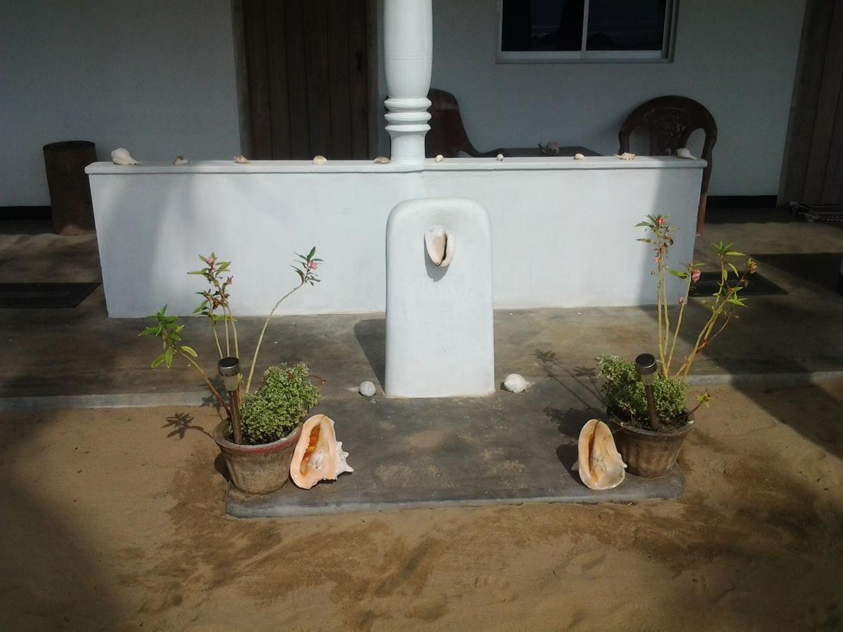 Dolphinchilling Hotel Alankuda Ngoại thất bức ảnh