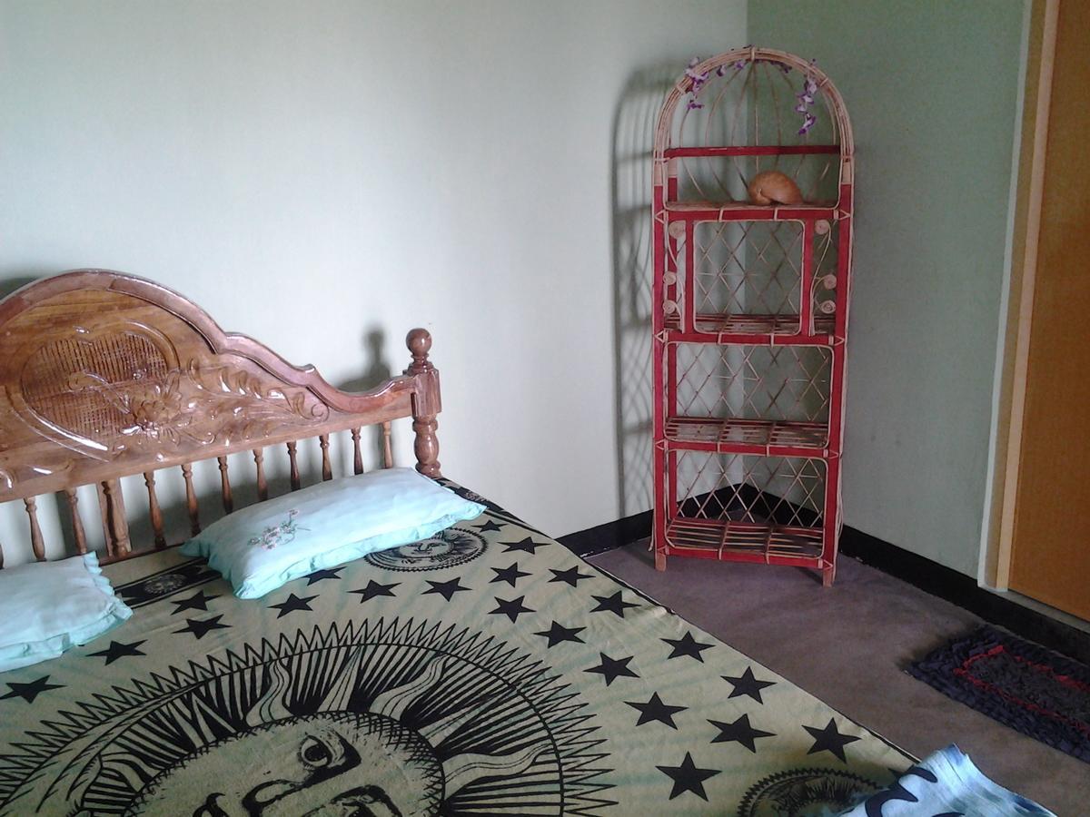 Dolphinchilling Hotel Alankuda Ngoại thất bức ảnh