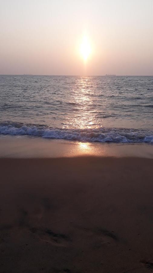 Dolphinchilling Hotel Alankuda Ngoại thất bức ảnh
