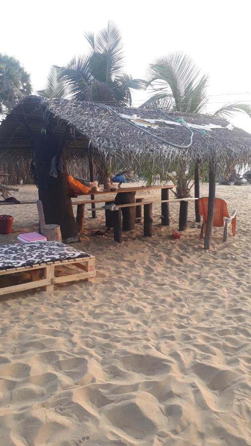 Dolphinchilling Hotel Alankuda Ngoại thất bức ảnh