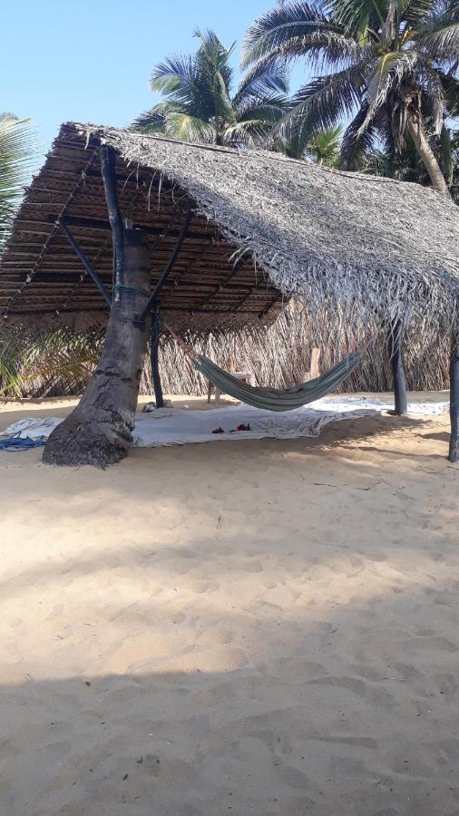 Dolphinchilling Hotel Alankuda Ngoại thất bức ảnh