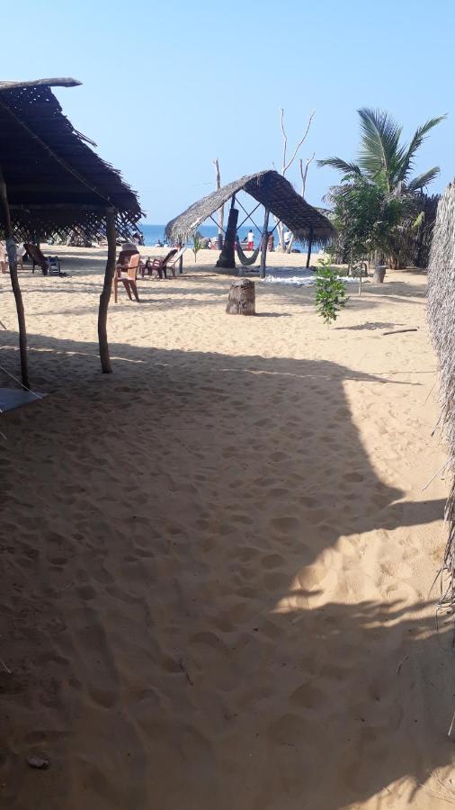 Dolphinchilling Hotel Alankuda Ngoại thất bức ảnh