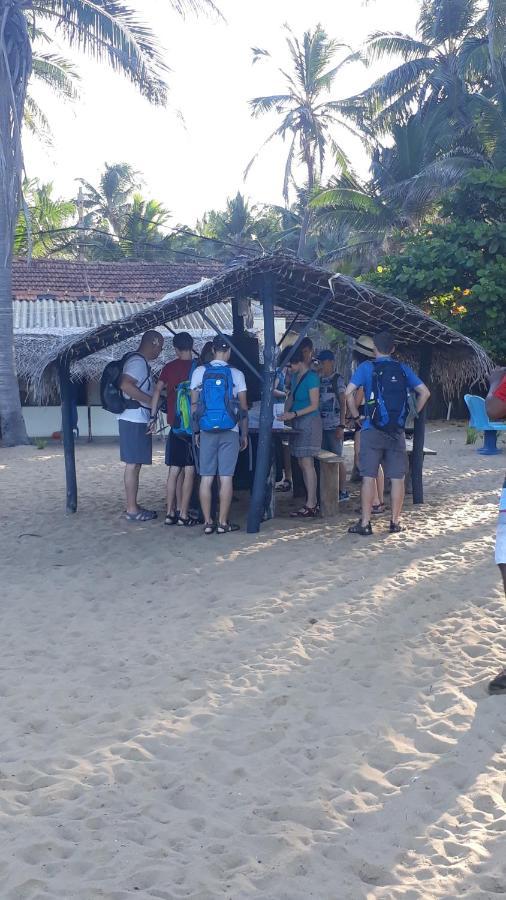 Dolphinchilling Hotel Alankuda Ngoại thất bức ảnh